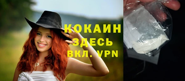 кокс Вяземский