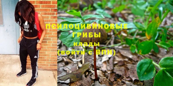 кокс Вяземский